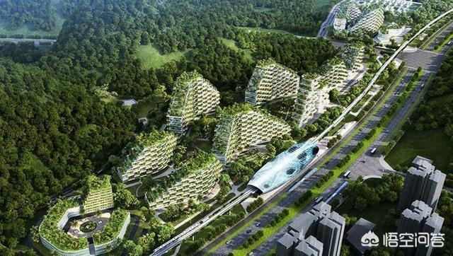 柳州要建成全国首个森林城市需要多久时间？