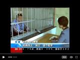 文章附图